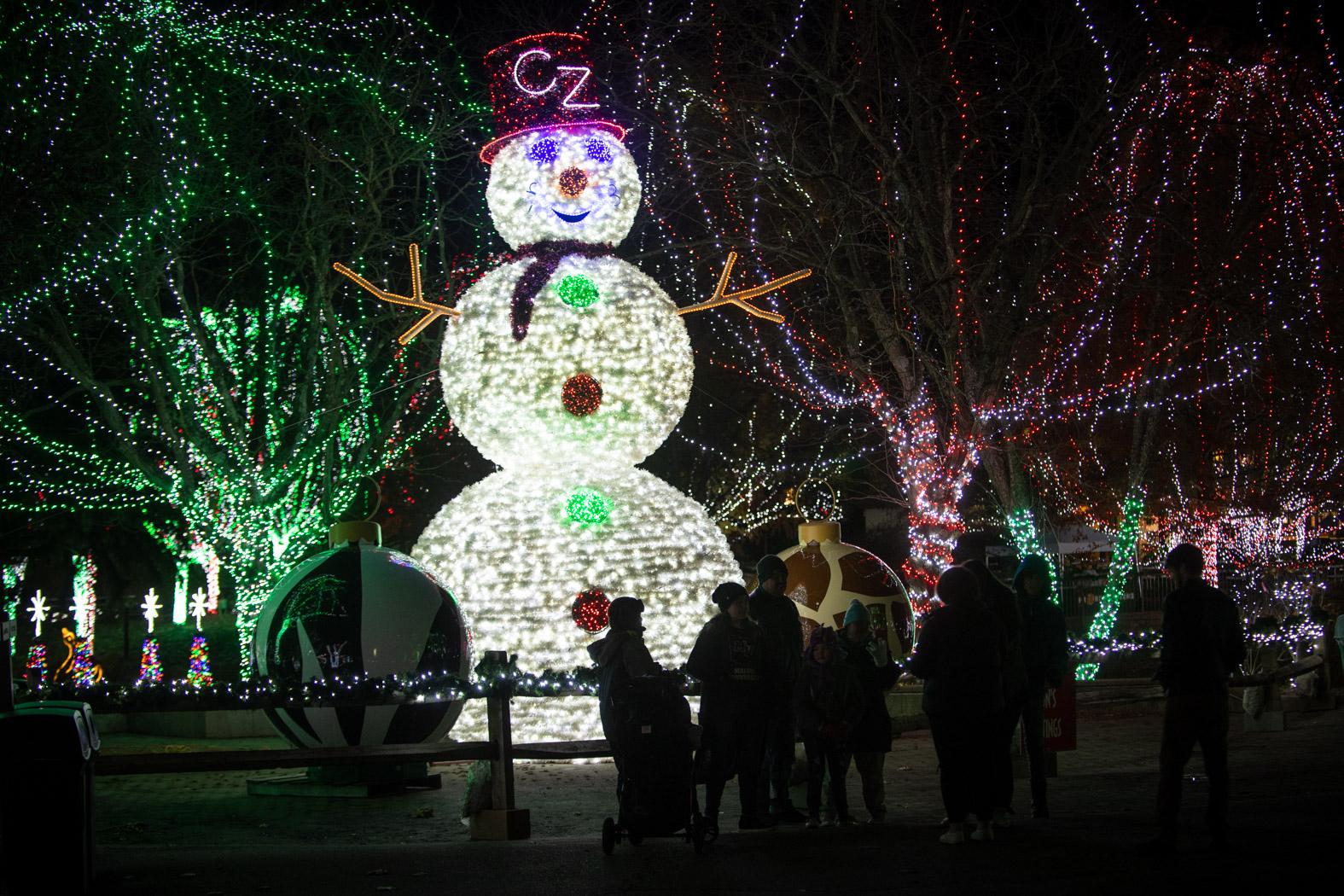 Wildlights Brings Holiday Magic to the Columbus Zoo and Aquarium